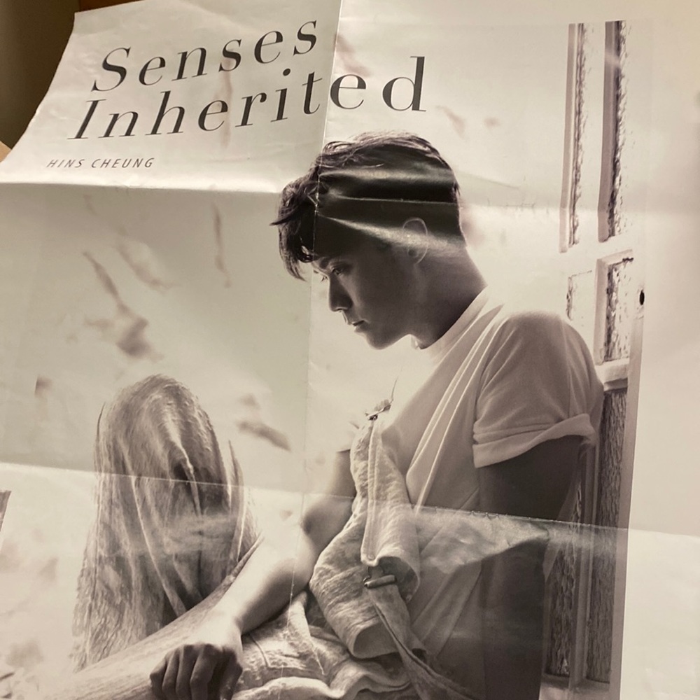 Hins poster 2019 have flaws